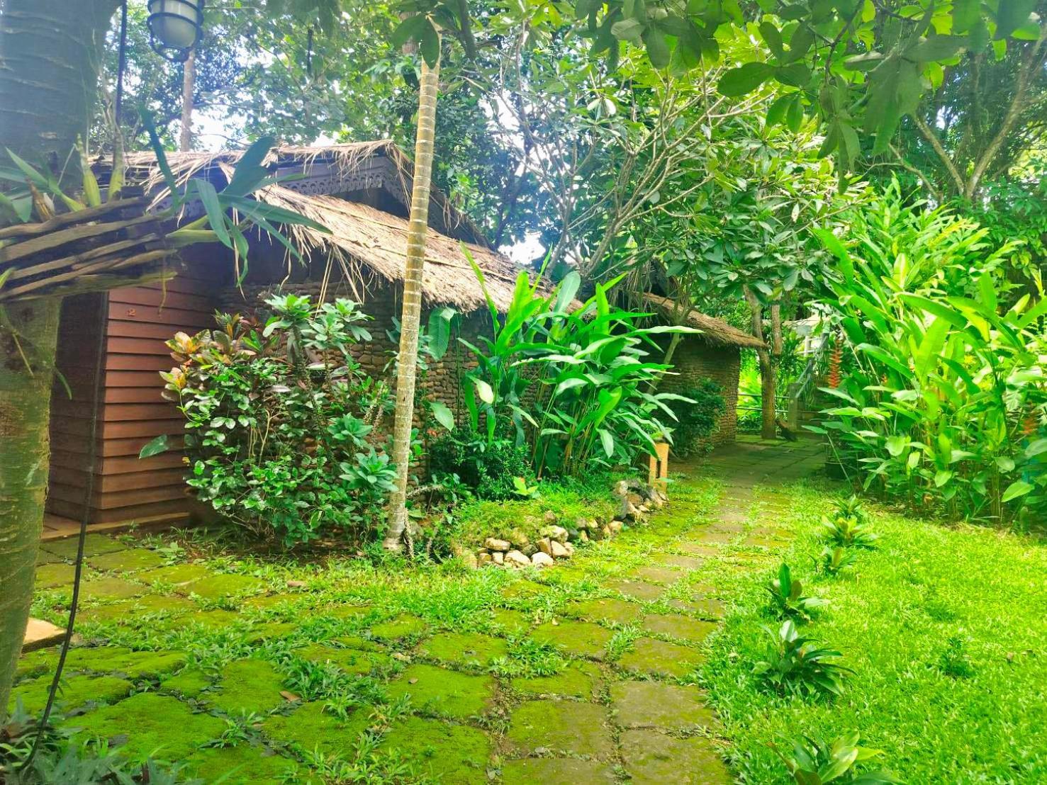 Hot Coffee Guest House And Resort Ban Mae Na Chon Εξωτερικό φωτογραφία