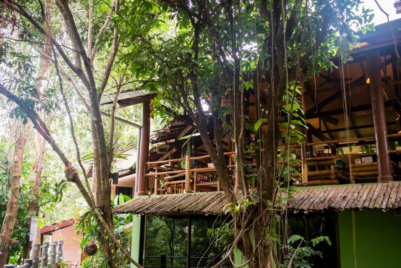 Hot Coffee Guest House And Resort Ban Mae Na Chon Εξωτερικό φωτογραφία